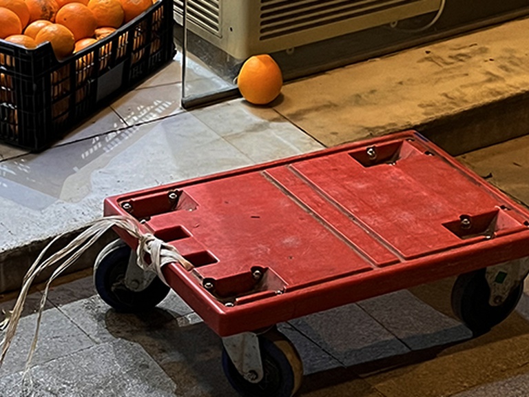 Biblioteca Ambulante Infantil Anticolonial